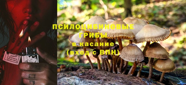 прущая мука Аркадак