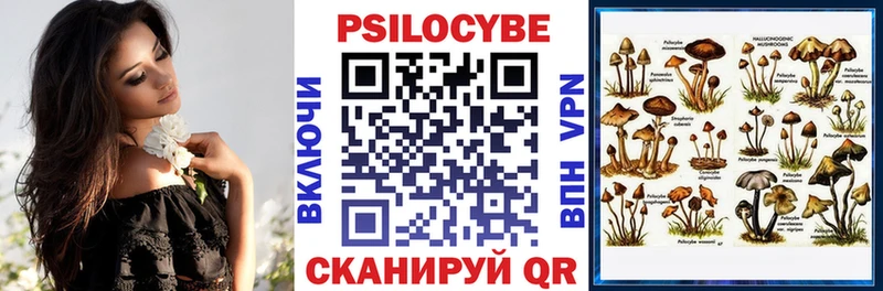 Псилоцибиновые грибы Cubensis  Урюпинск 